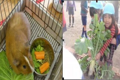 Dạy trẻ kiểu Nhật, những chuyện đáng nhớ