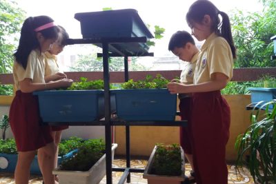 Yêu mái trường – Thầy và trò chung tay xây dựng trường Tiểu học Phạm Hồng Thái ngày càng Xanh – Sạch – Đẹp – An Toàn và Thân thiện