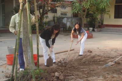 Tiểu học Phạm Hồng Thái – Trường Xanh – Sạch – Đẹp – An toàn năm 2010